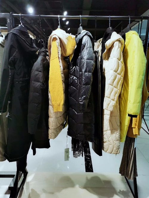 【廣東品牌折扣女裝羽絨服專賣店網店庫存商品廠家批發貨源】-